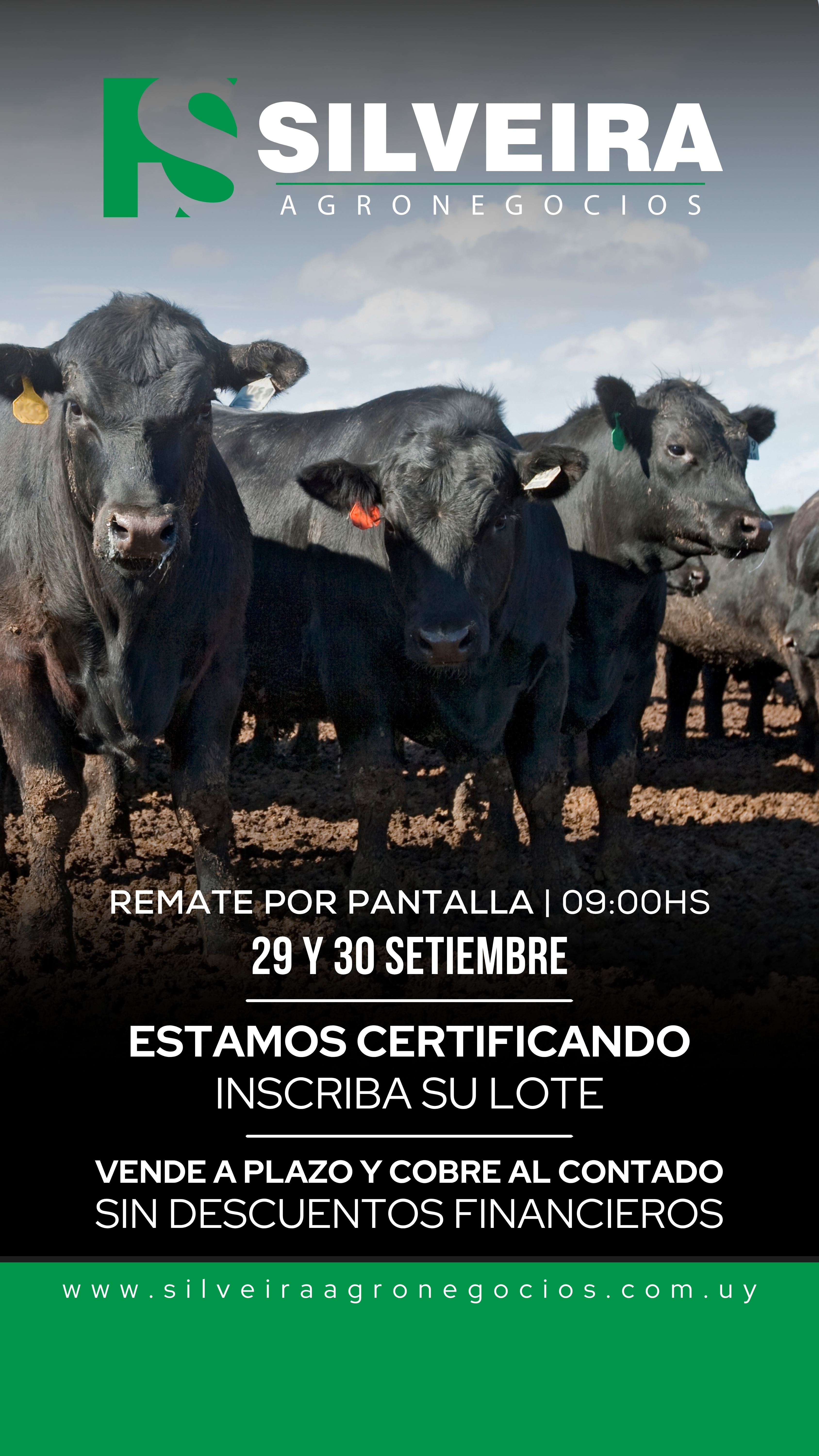 320º remate Pantalla Uruguay