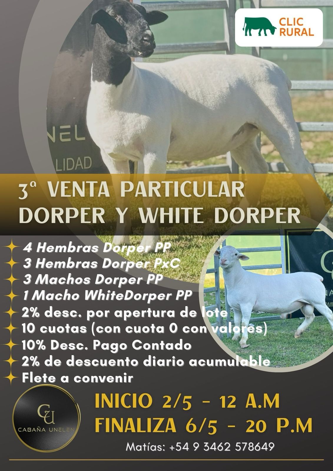 Afiche 3° Remate Particular Online Dorper y White Dorper 
