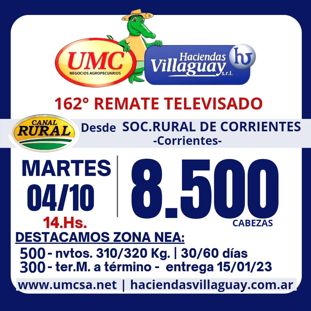 Afiche TV - 162