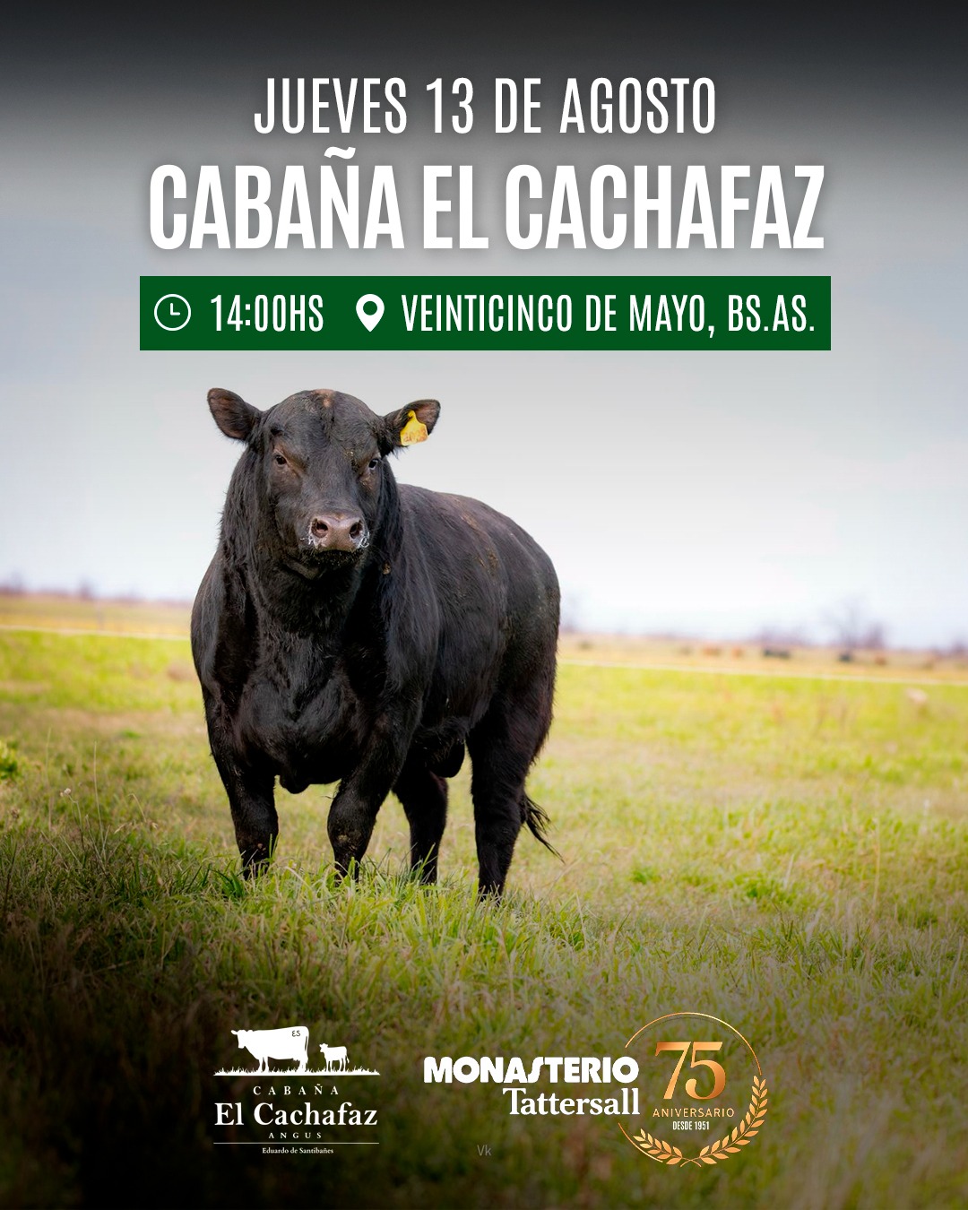 Remate El Cachafaz