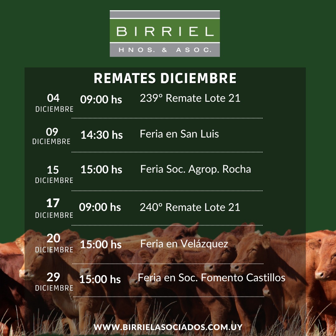 Remate Feria en Soc. Fomento Castillos