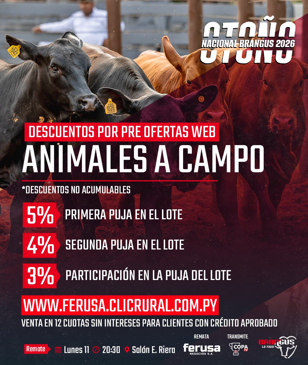 Remate Remate de Campo – Nacional Brangus Otoño
