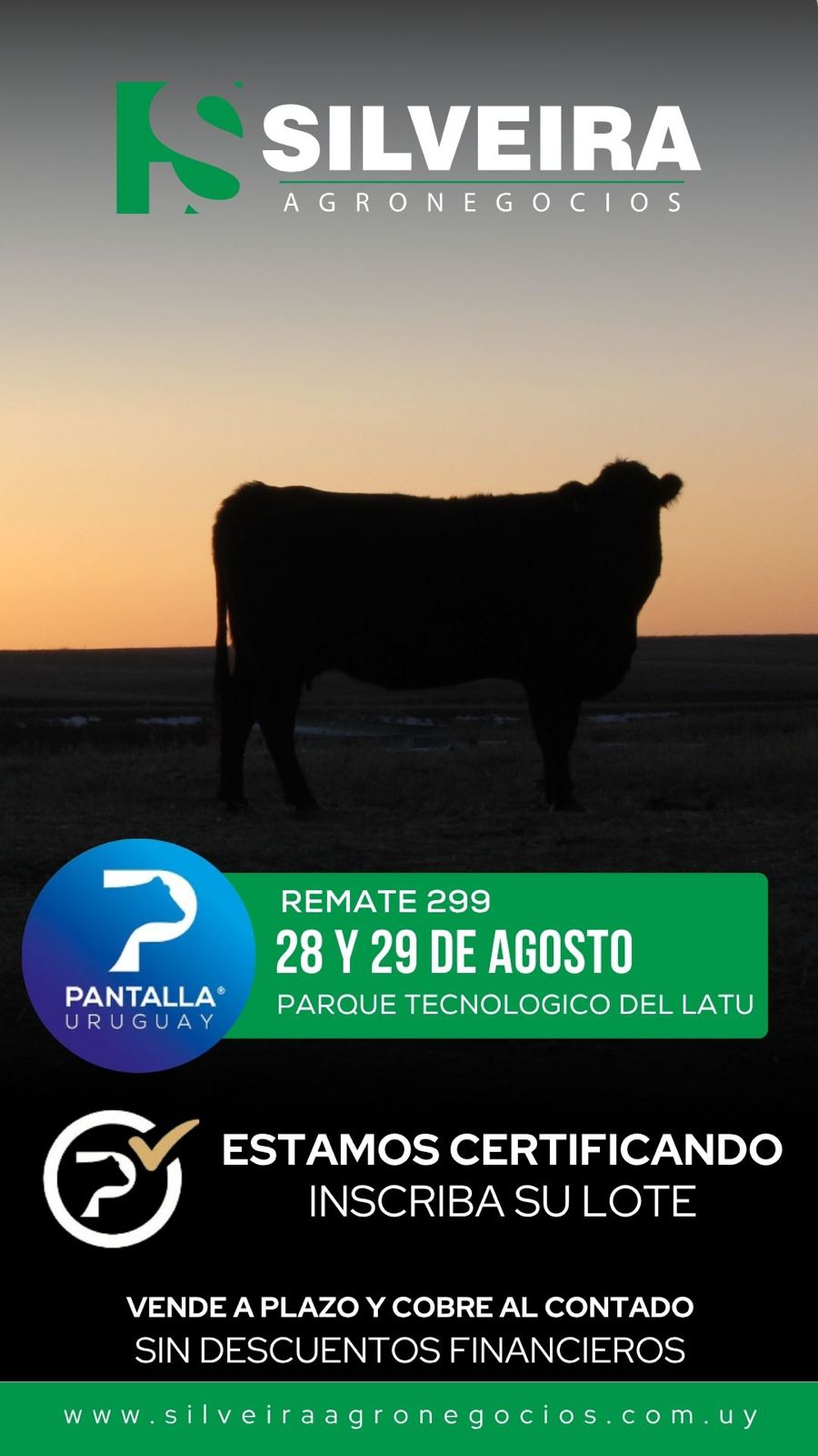 299º remate Pantalla Uruguay