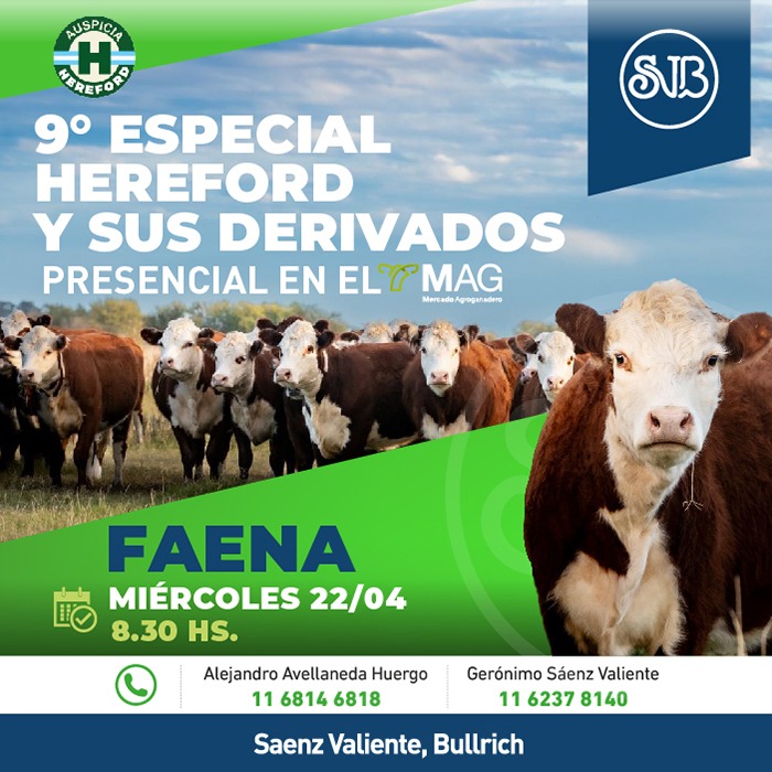 9° Especial Hereford y sus derivados