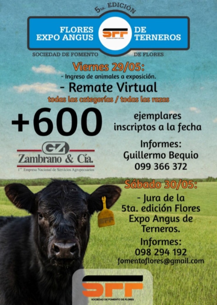 Flores Expo Angus