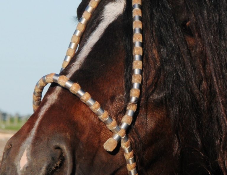 Afiche Rancho Yúbely