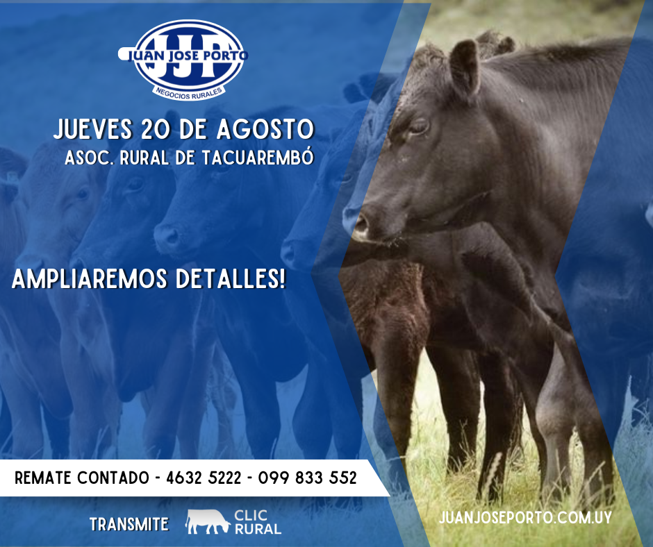 Feria mensual - Juan Jose Porto