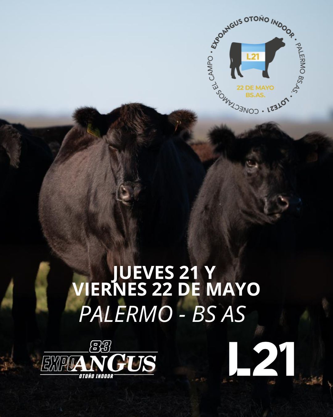 Remate 248º remate Lote21