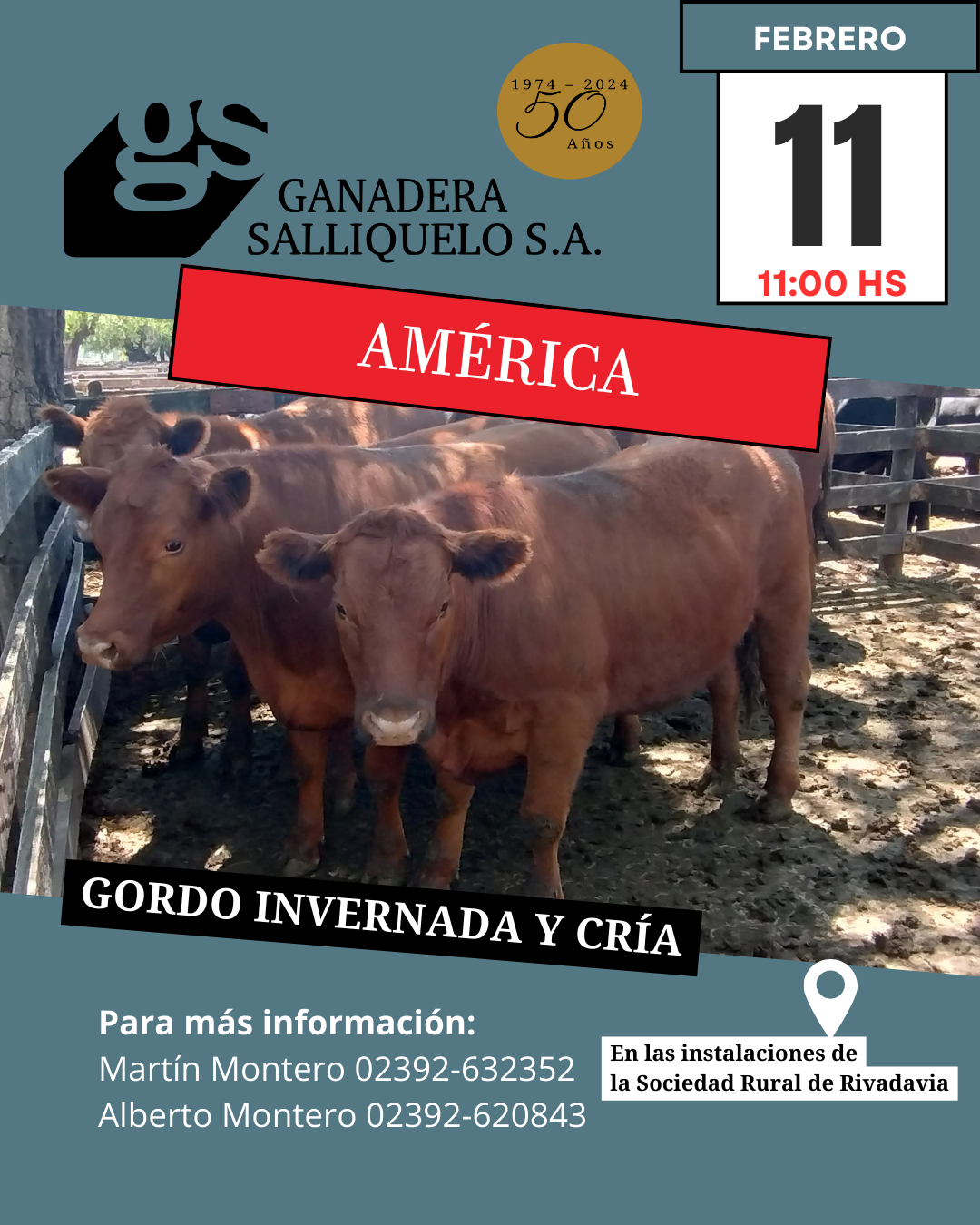 Remate Gordo, Invernada y Cría