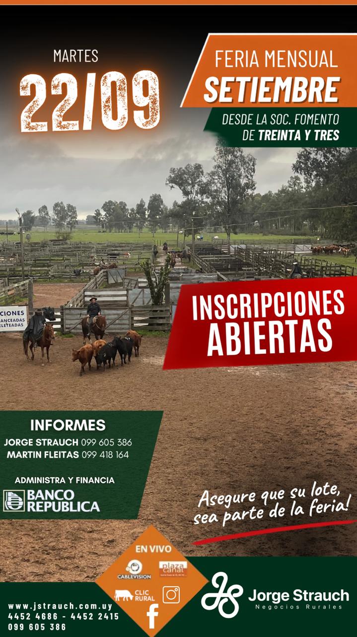 Afiche Feria mensual - Jorge Strauch
