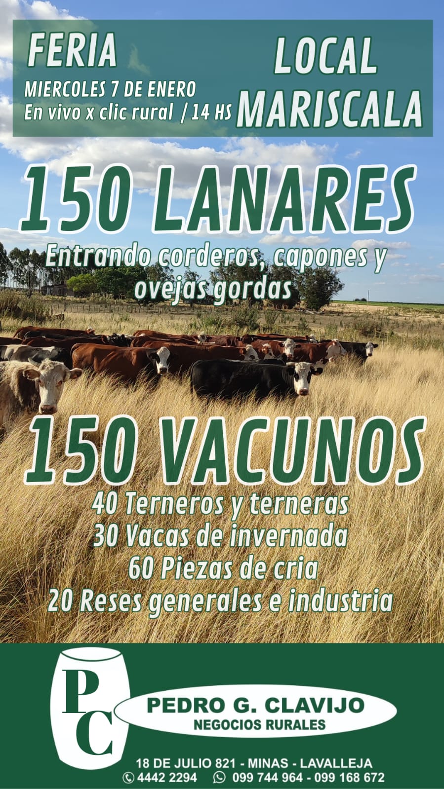 Remate Feria mensual - Pedro G Clavijo