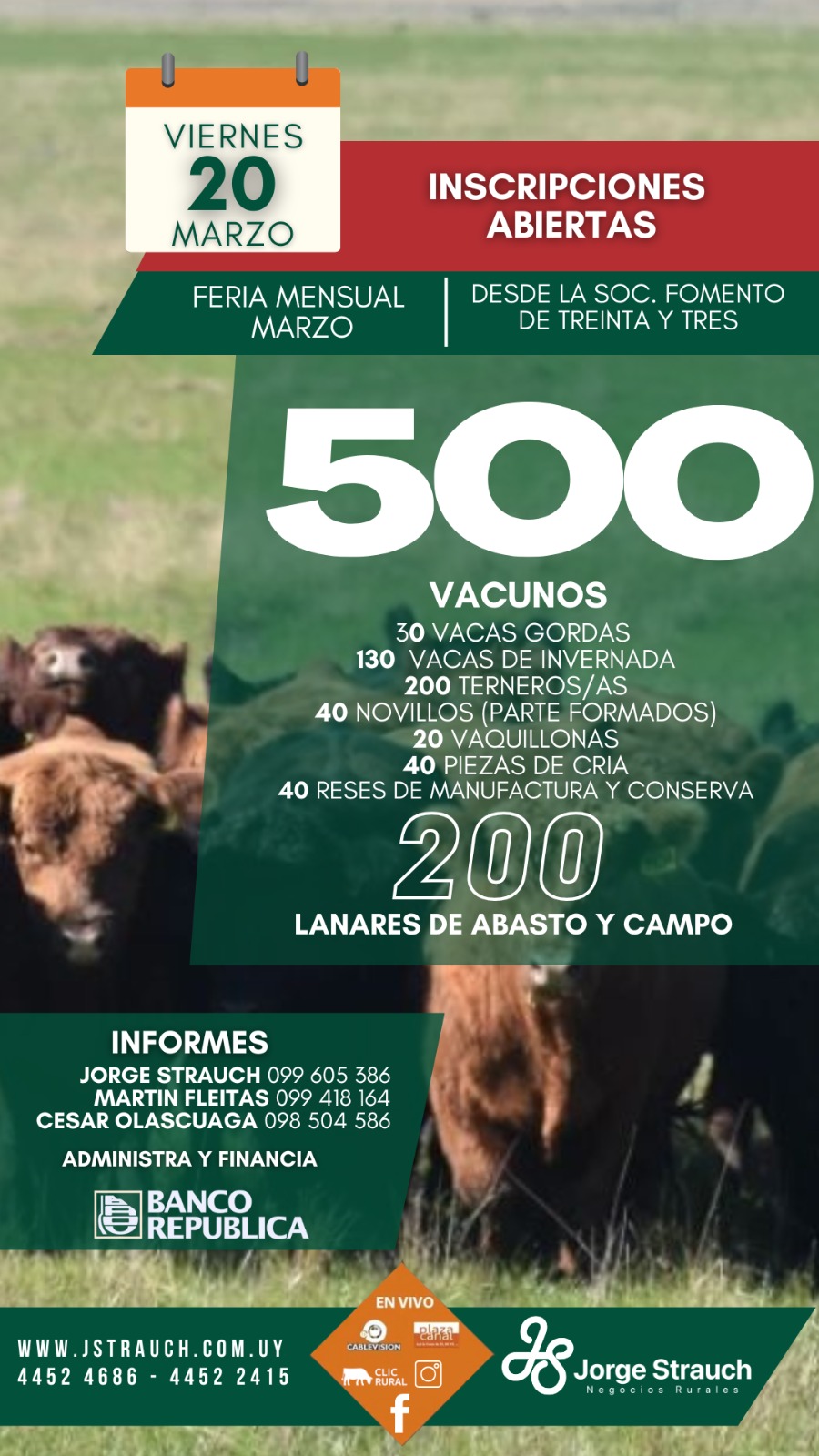 Remate Feria Mensual - Jorge Strauch