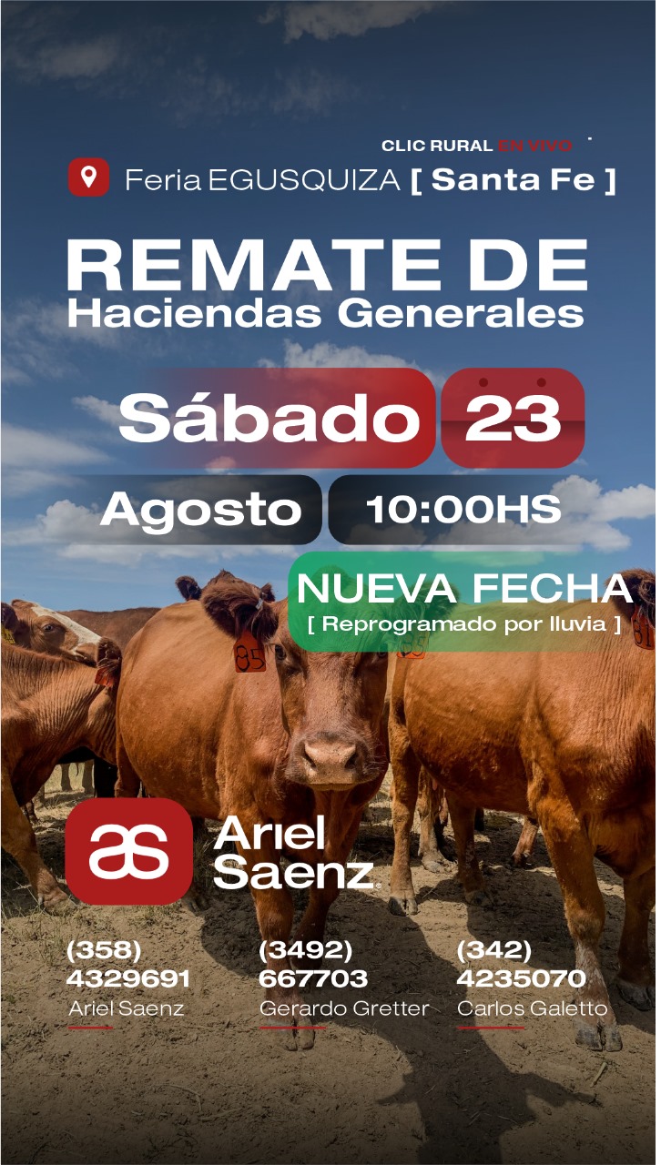 Remate 23 de Agosto - Egusquiza