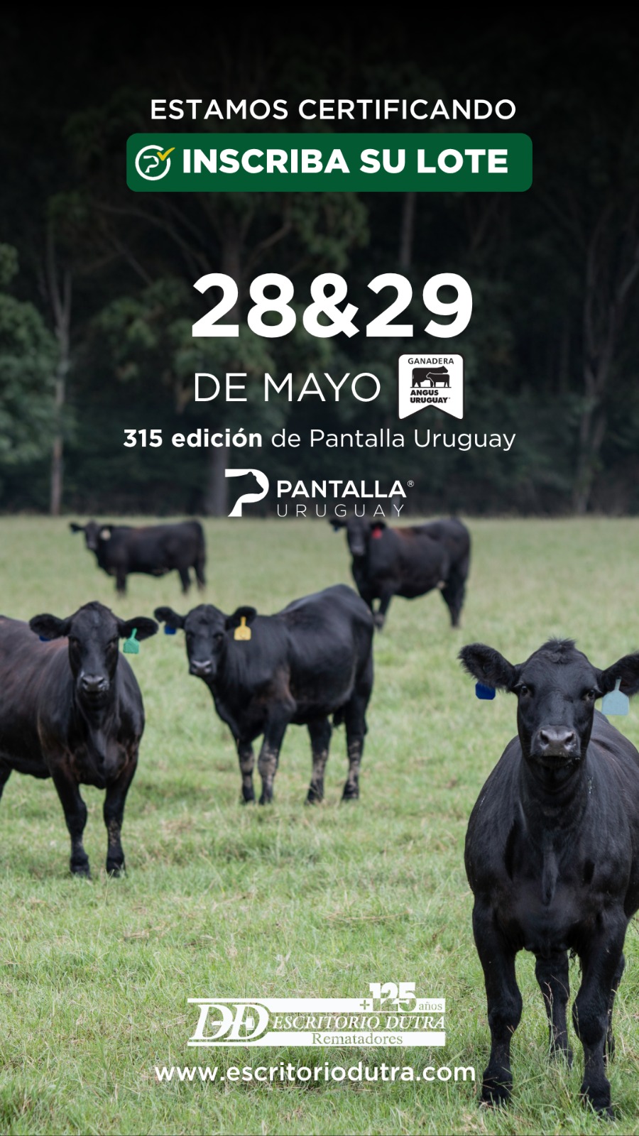 315º remate Pantalla Uruguay