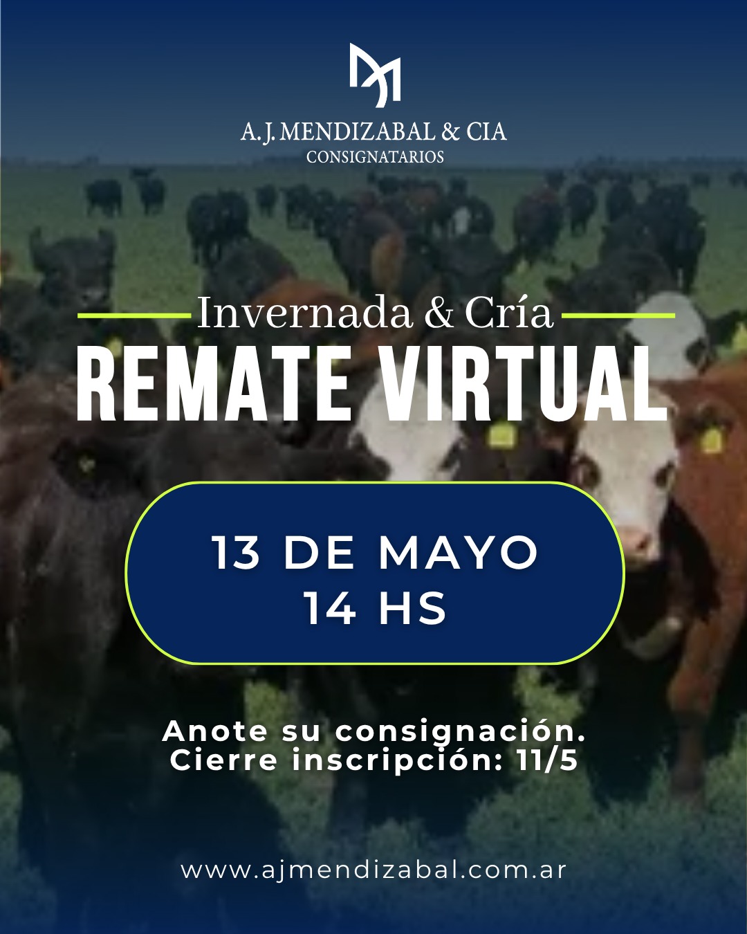 52° Remate virtual