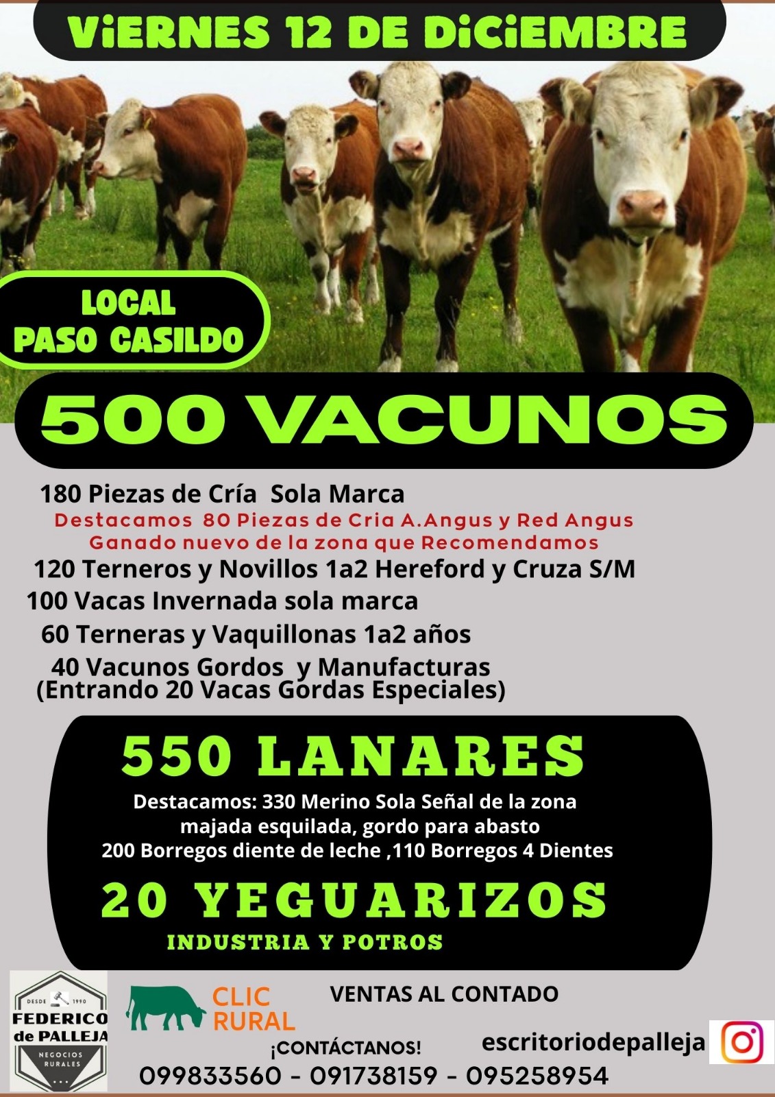 Feria Mensual - Federico de Palleja