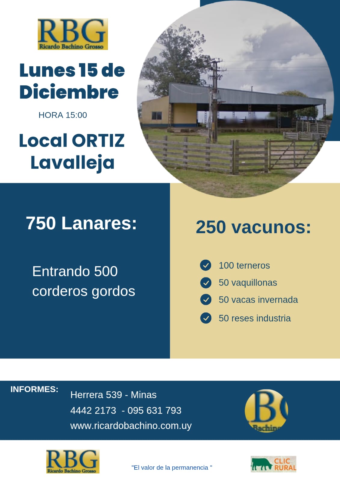 Feria mensual - Ricardo Bachino