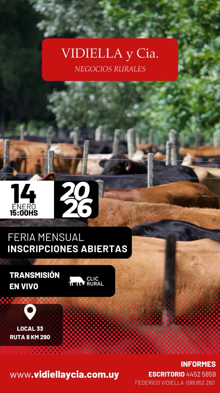 Feria Mensual - Vidiella y Cia