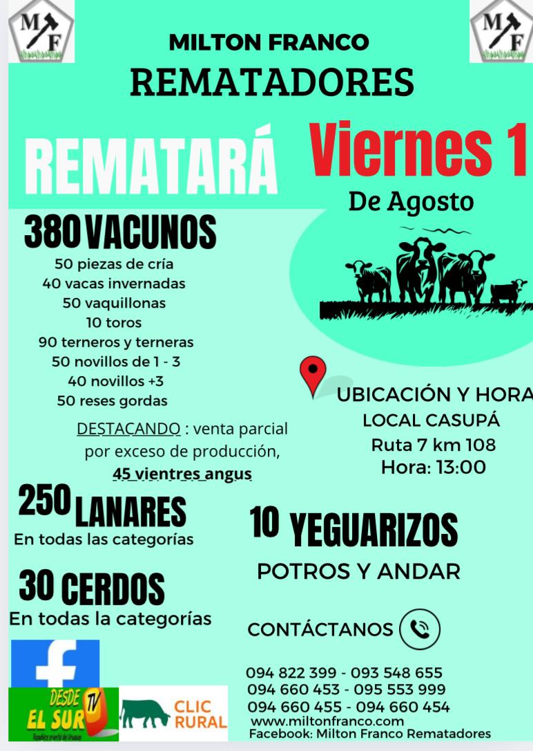 Afiche Feria mensual - Milton Franco
