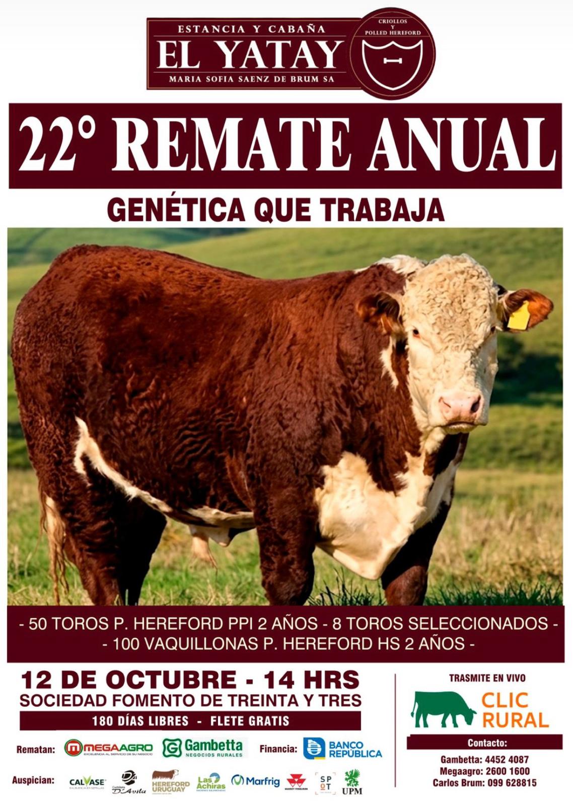 Remate 22º El Yatay