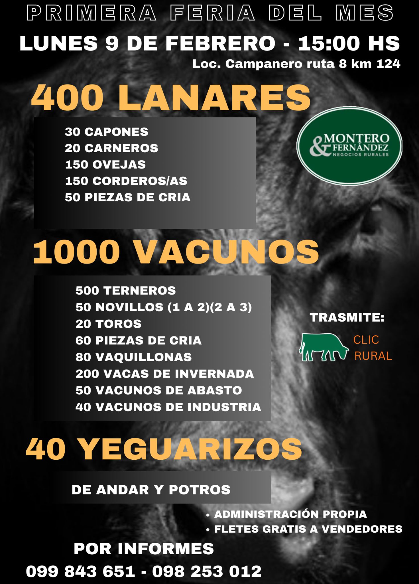 Feria Mensual - Montero Fernandez