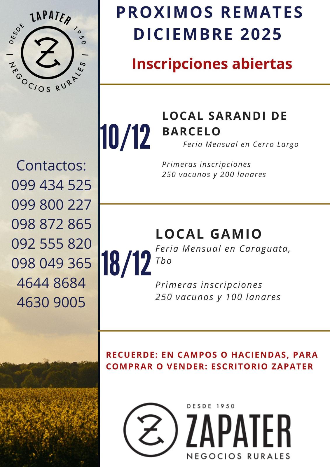 Remate Feria Mensual - Escritorio Zapater