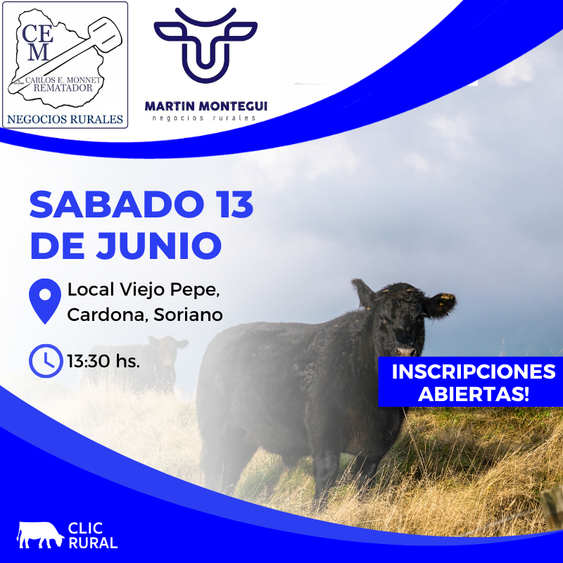 Feria Mensual - Cardona
