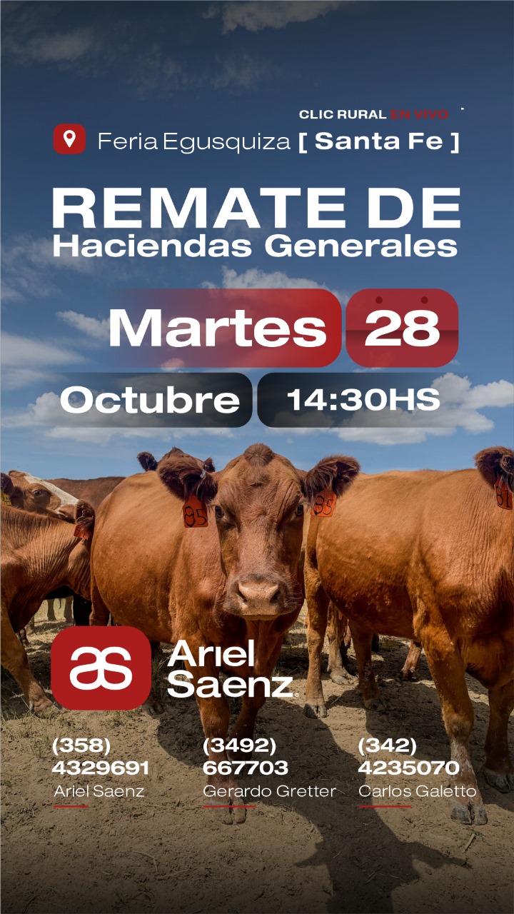 28 de Octubre - Egusquiza