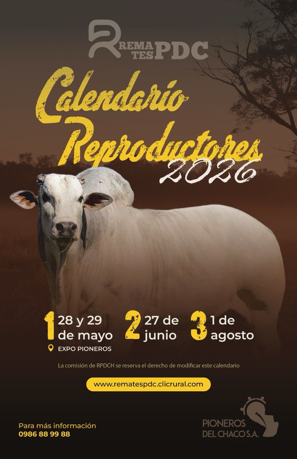 Remate Pioneros del Chaco SA