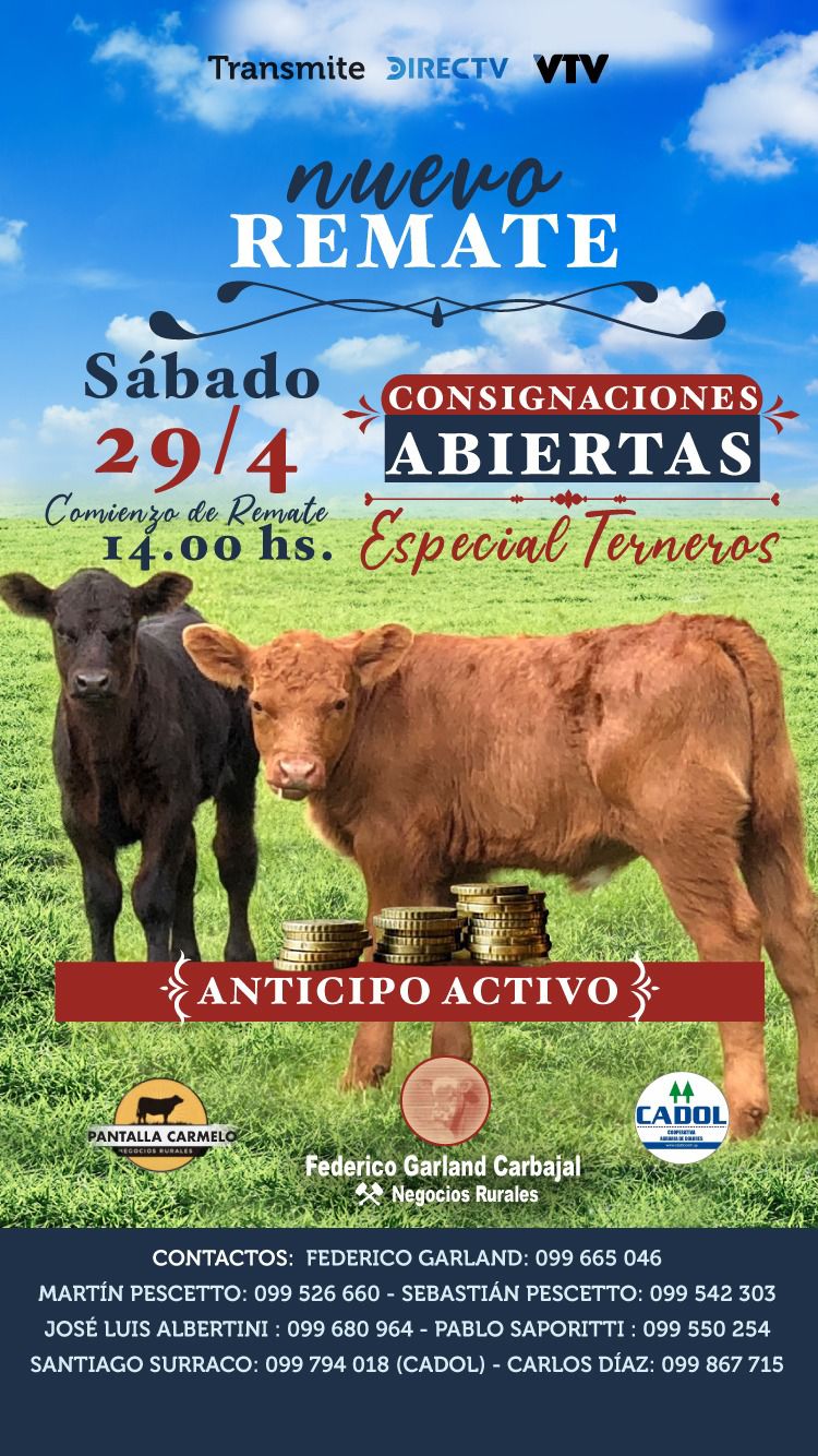 Afiche #31 Pantalla Carmelo