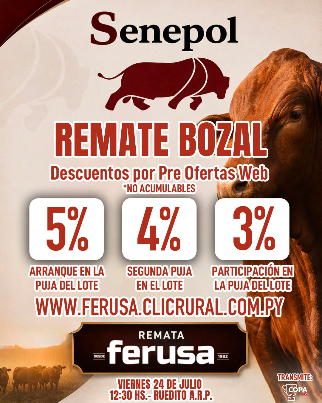 Remate Senepol de Bozal - Expo Paraguay M.R.A. 2026