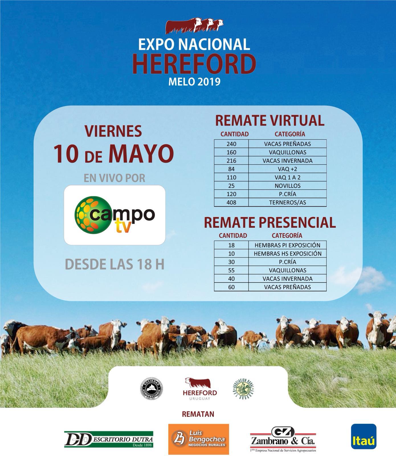 Afiche Expo Nacional Hereford 2019