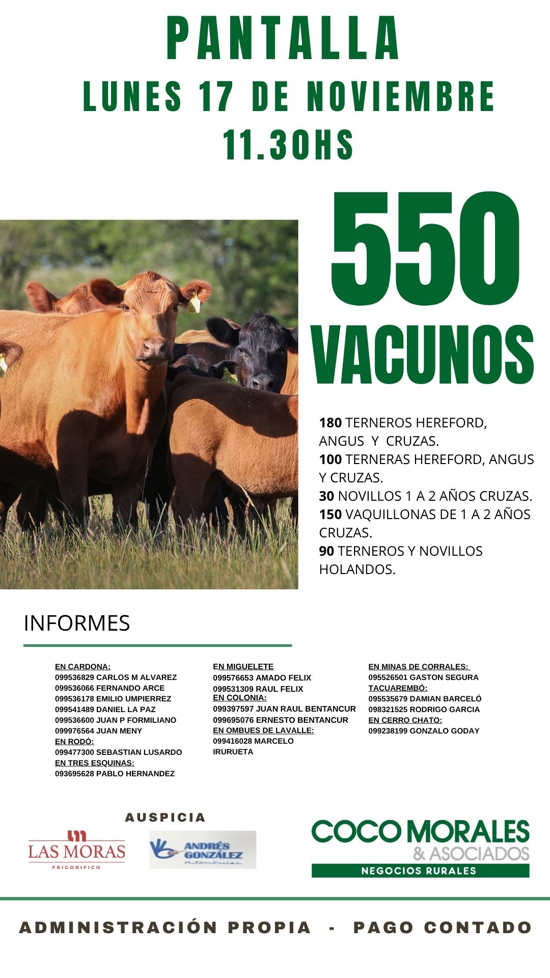 Remate Pantalla Coco Morales