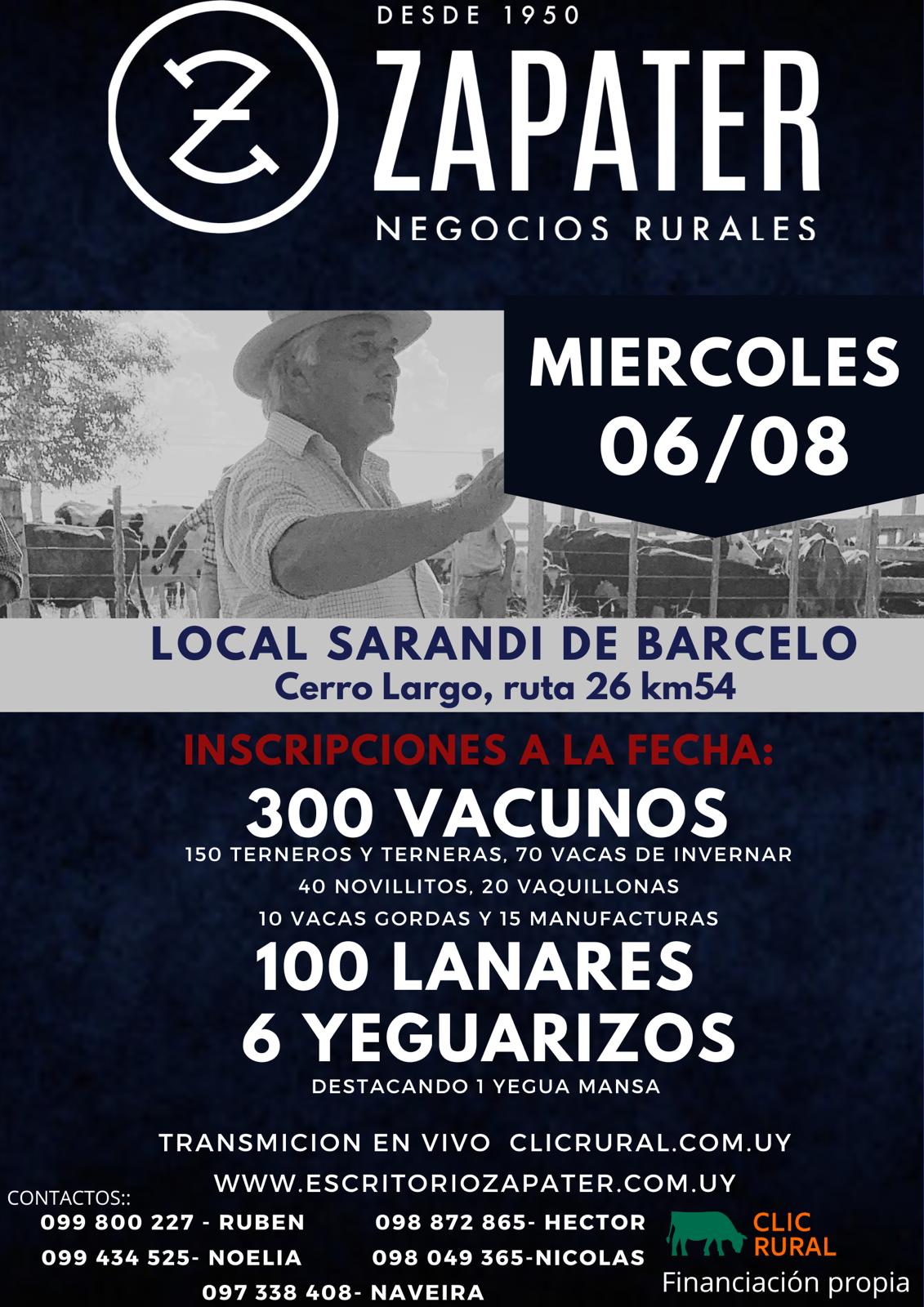 Afiche Feria Mensual - Sarandi de Barcelo