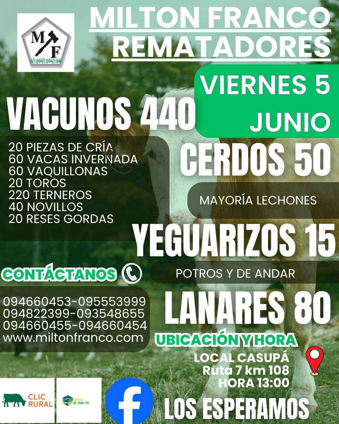 Feria Mensual - Milton Franco