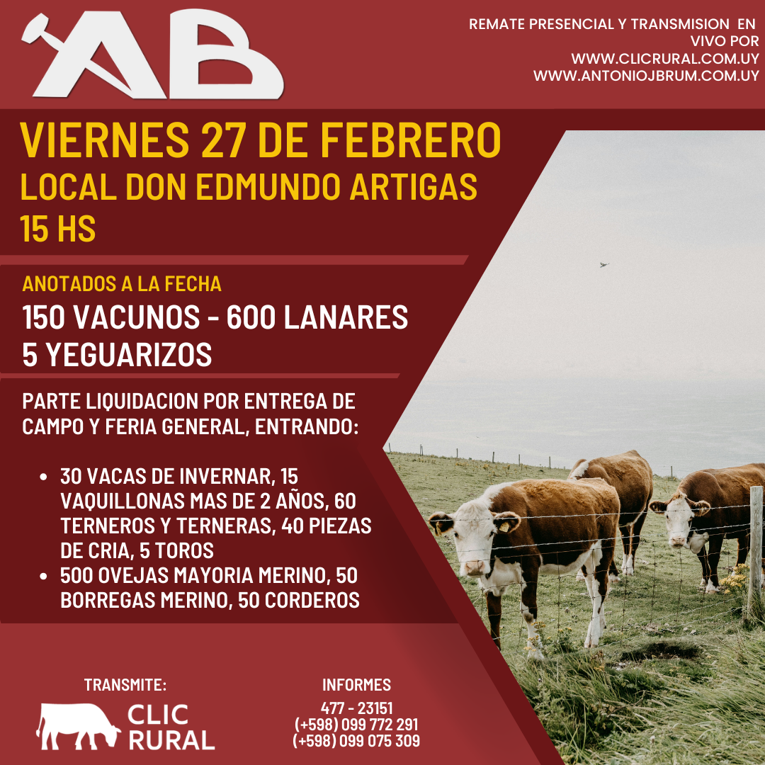 Feria Mensual - Antonio J Brum