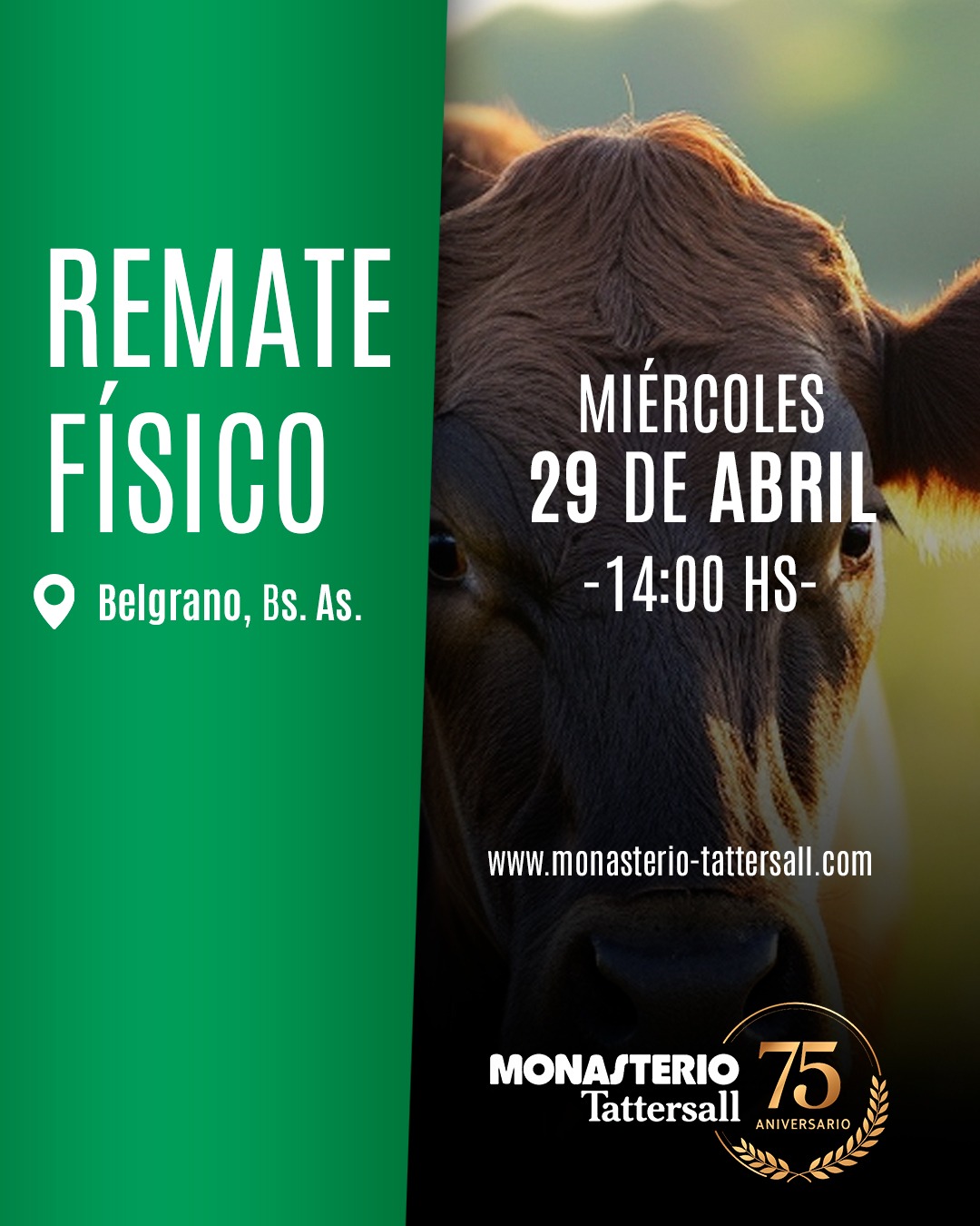 Remate Físico Belgrano 