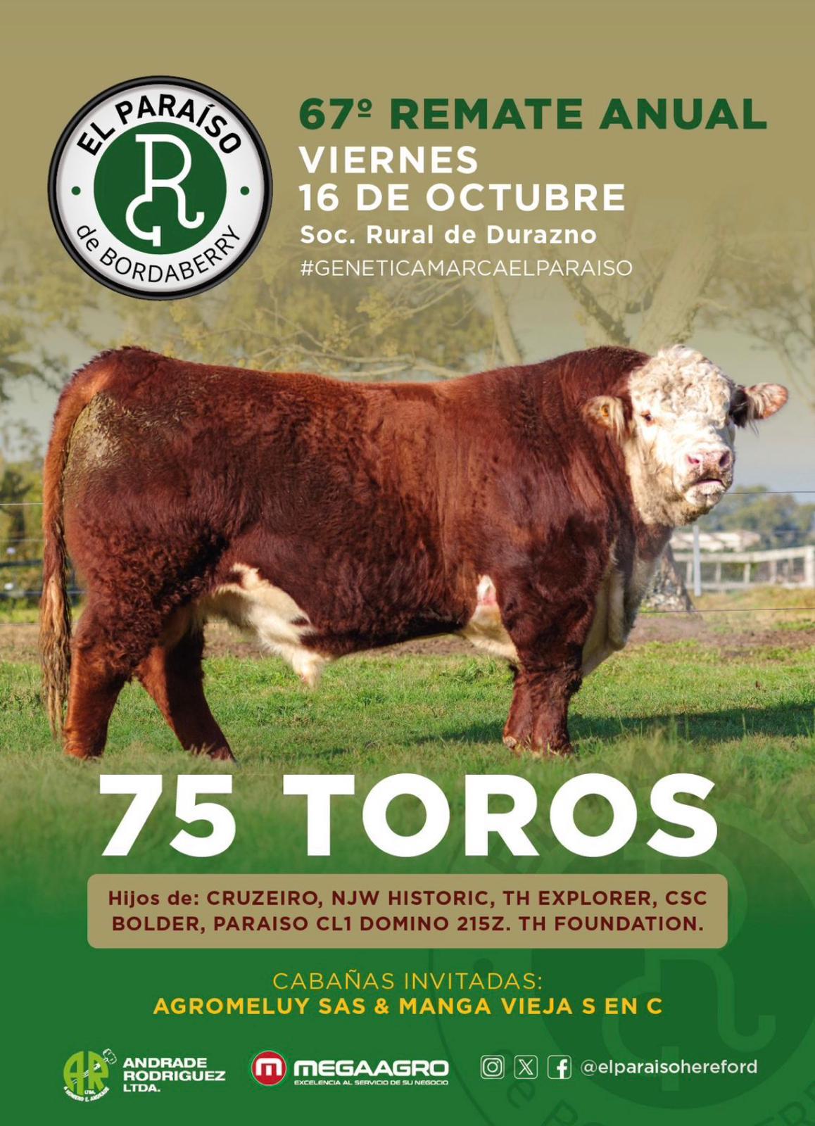 Afiche 67º El Paraiso