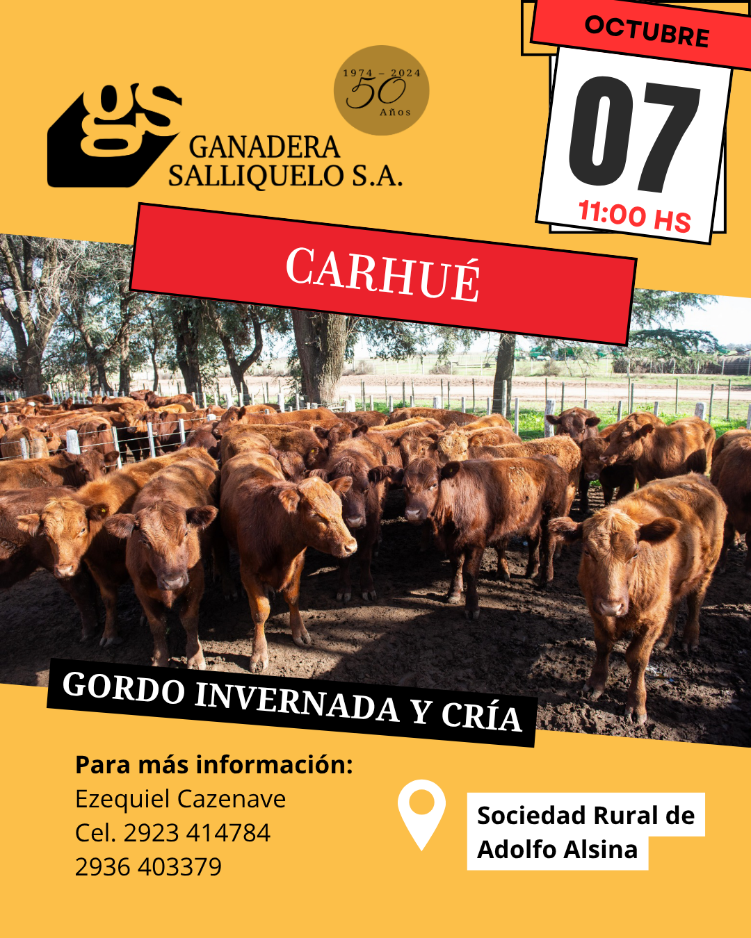 Afiche REMATE EN CARHUÉ