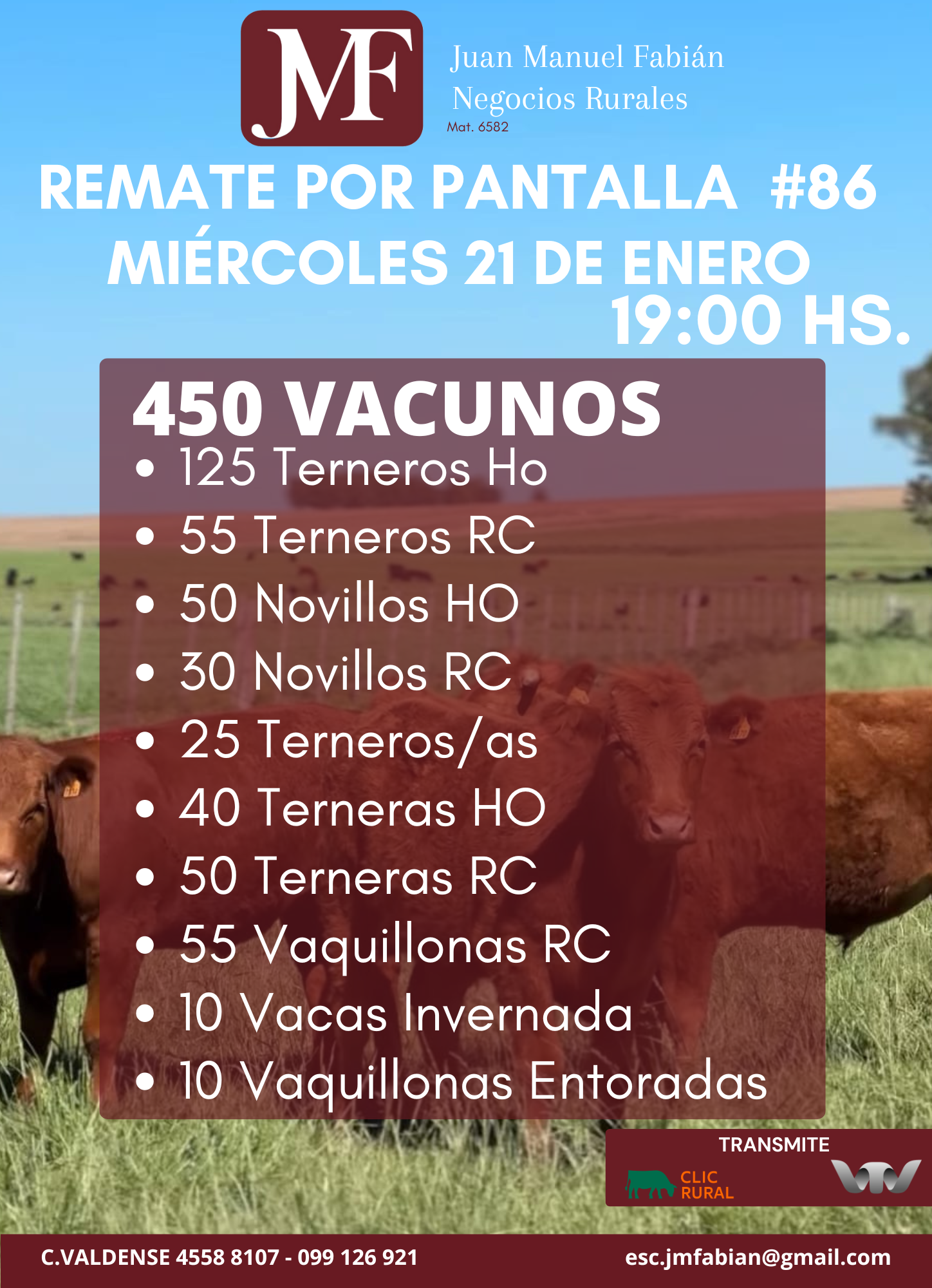 Remate #86 Pantalla JMF