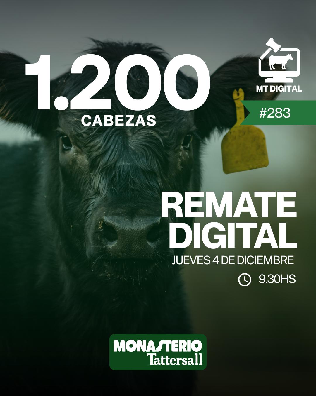 Afiche Remate digital 283°