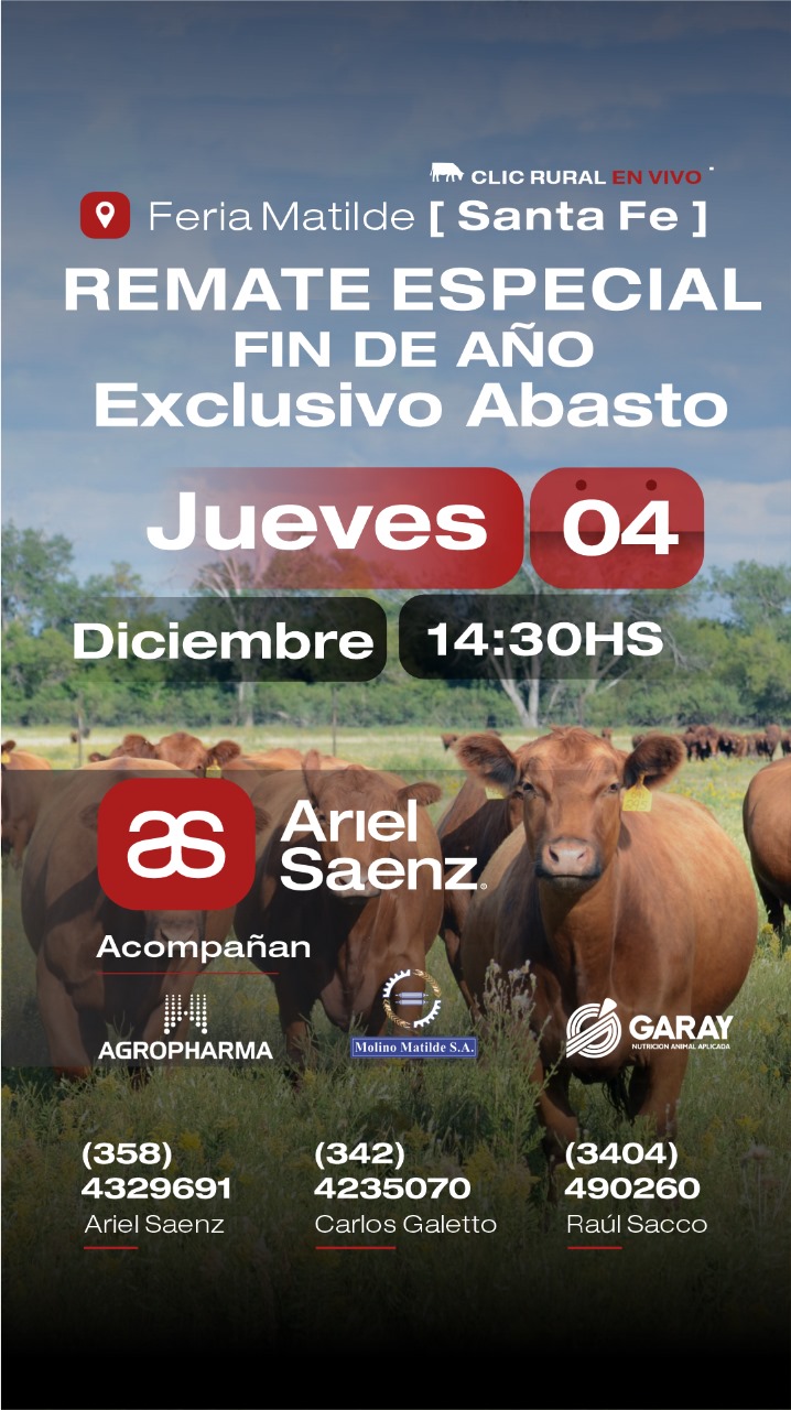 04 de Diciembre - Matilde