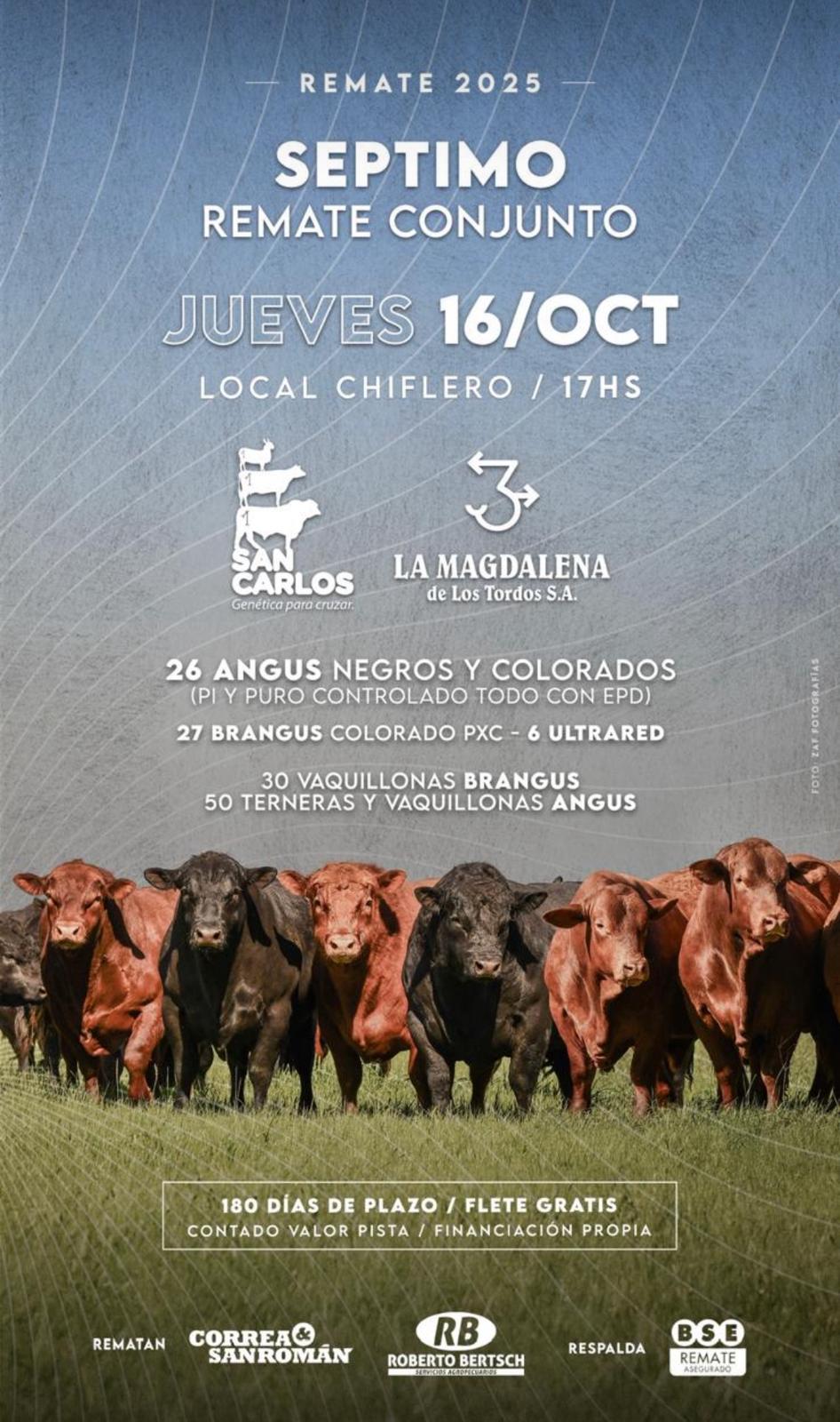 Afiche San Carlos y La Magdalena