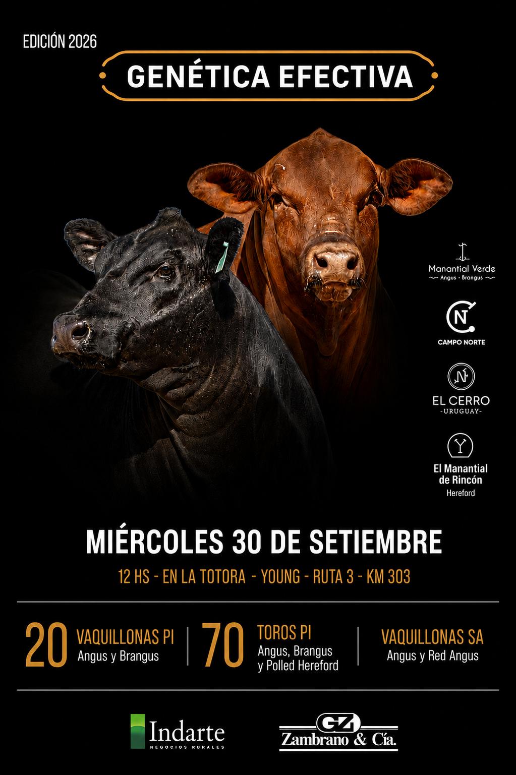 Afiche Genetica Efectiva