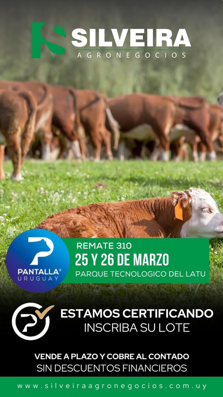 310º remate Pantalla Uruguay