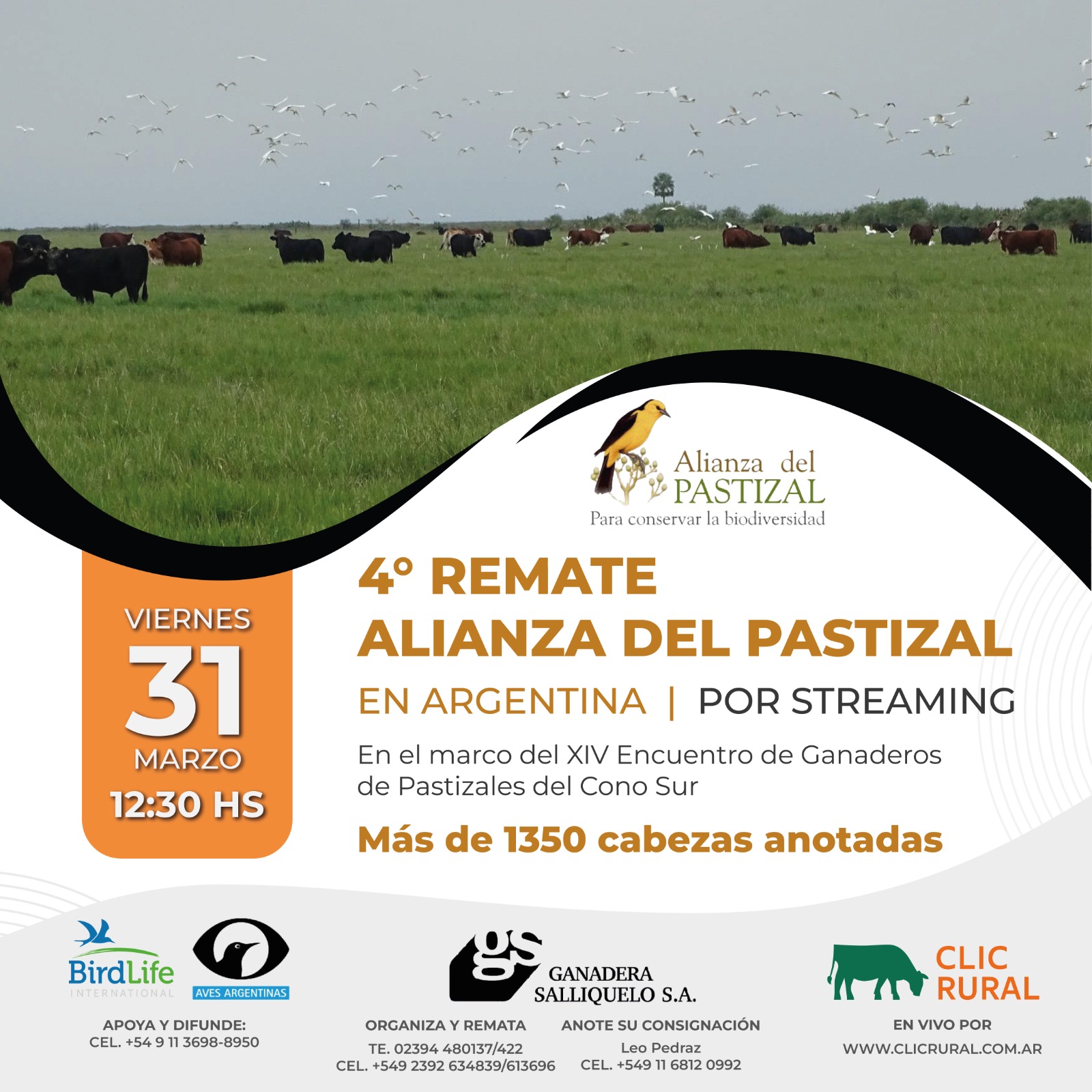Afiche 4° Remate Alianza del Patizal