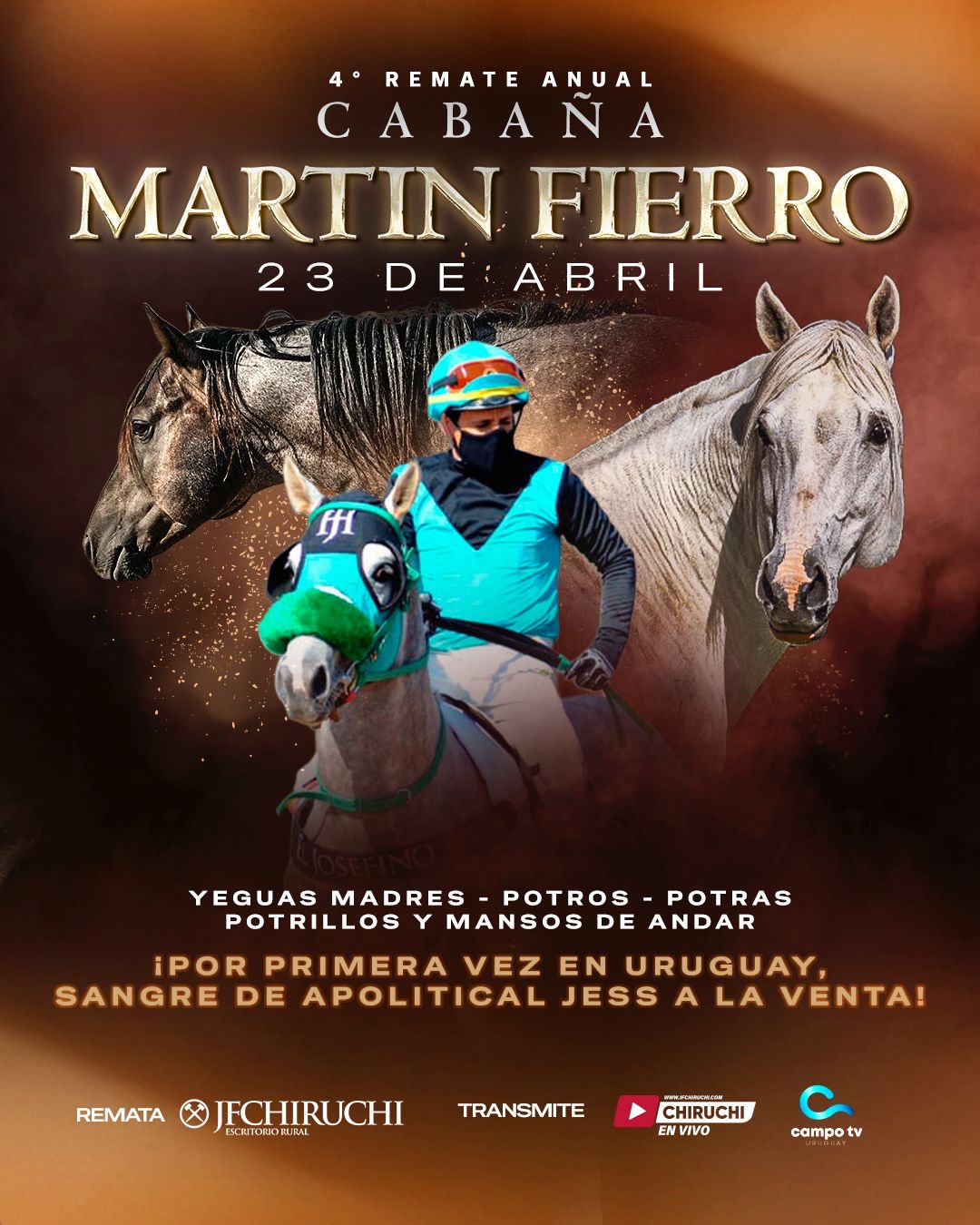 Remate Martín Fierro