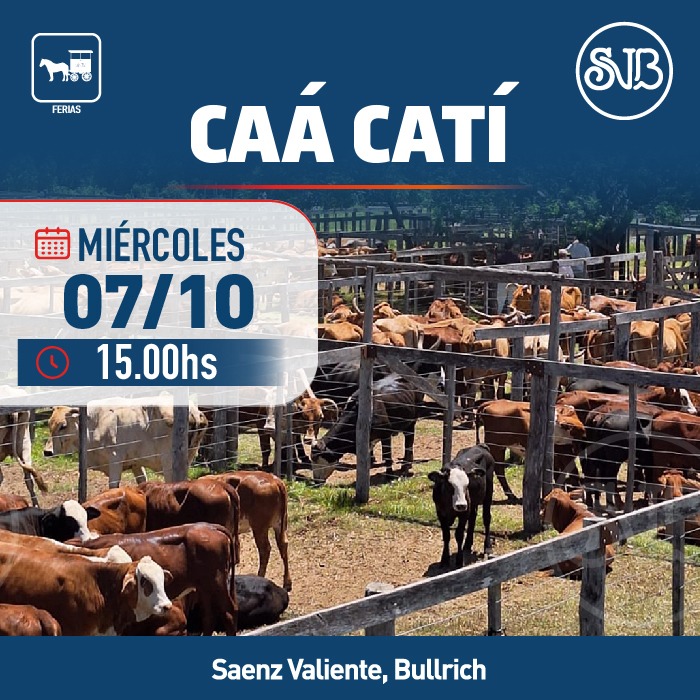 Remate Feria en Caá Catí