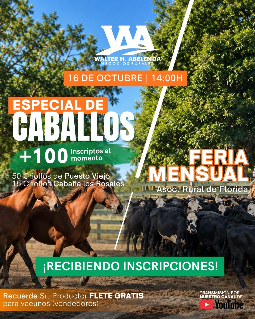 Feria Mensual + Especial de Caballos