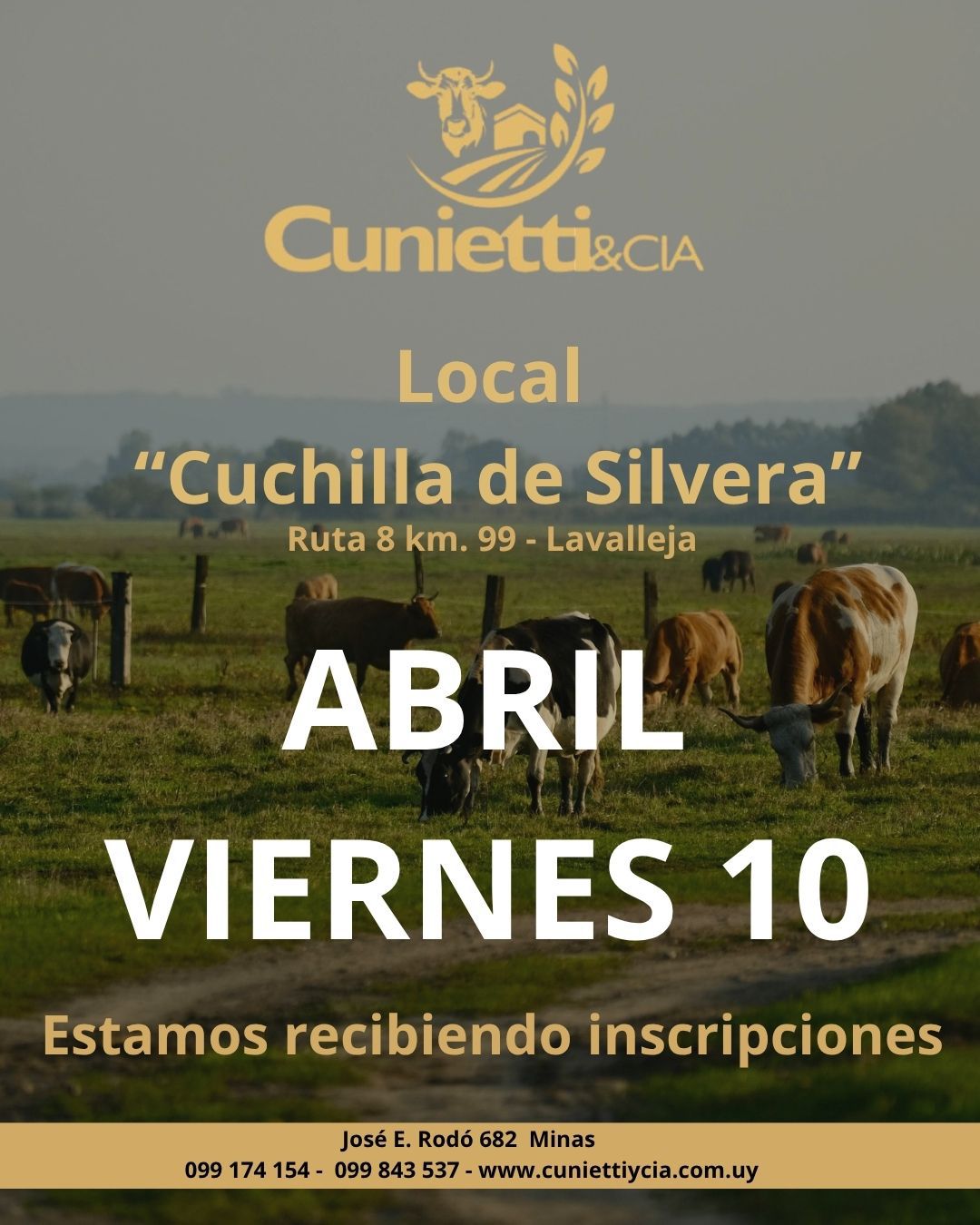 Remate Feria Mensual - Cunietti y Cia